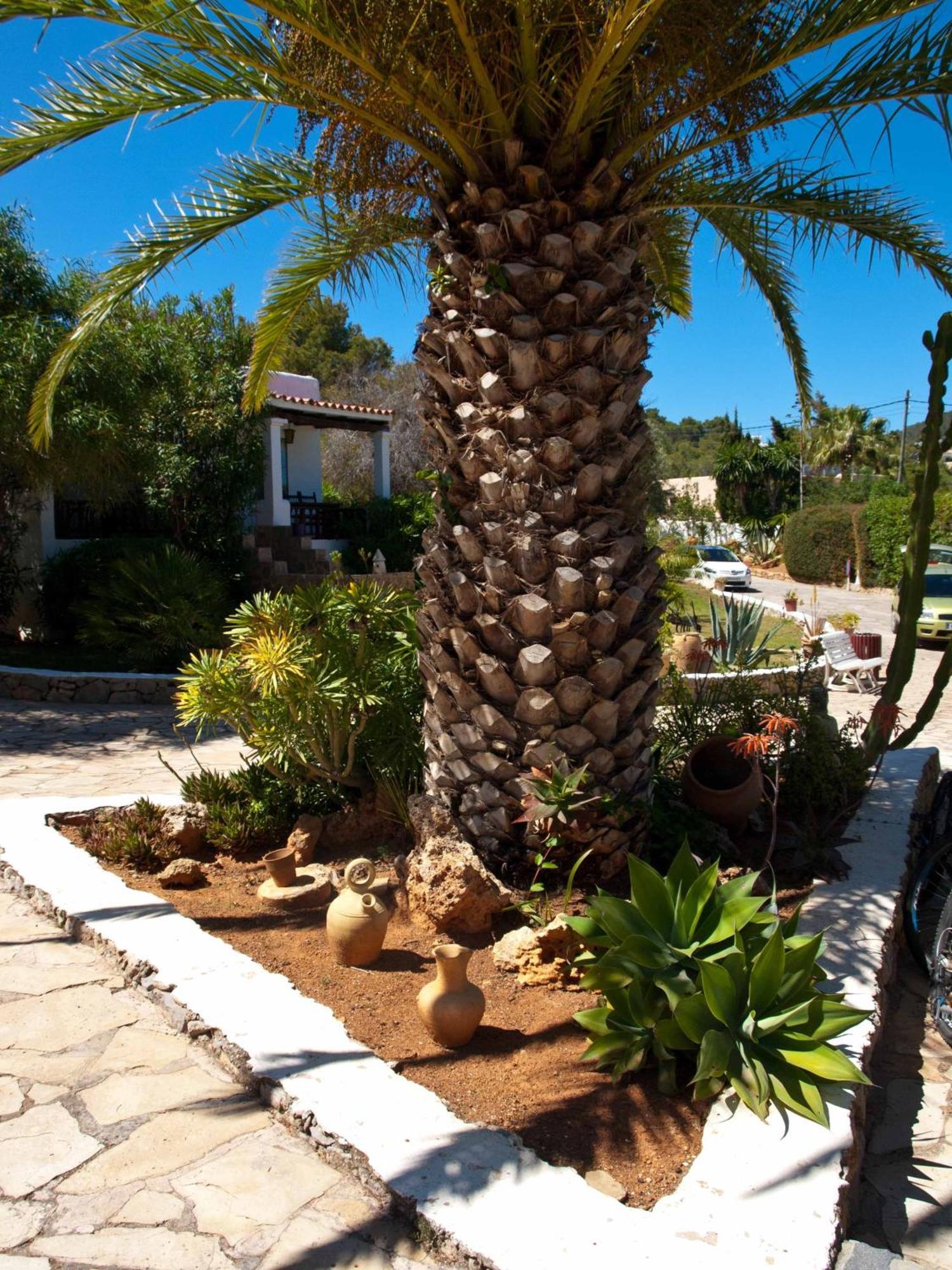 Club Jordi Hotel Cala Llenya